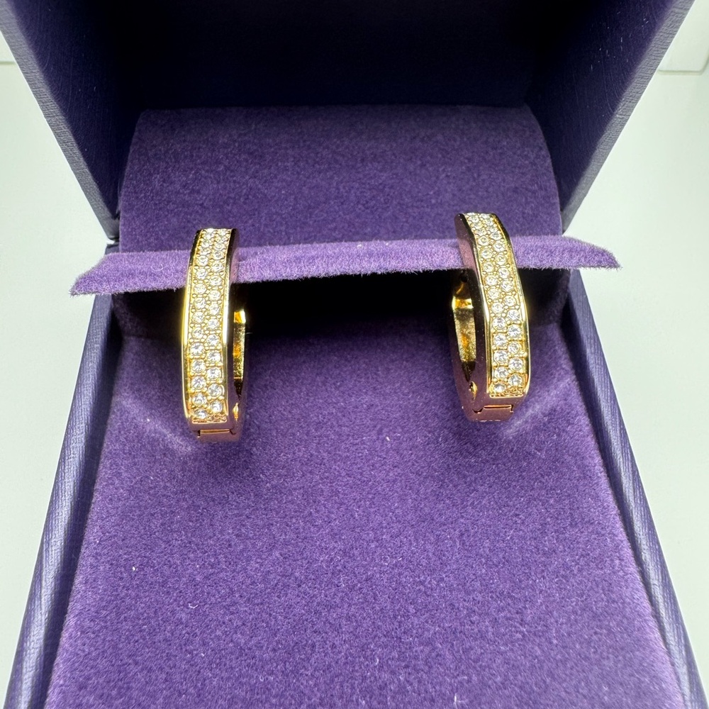Elegant Gold Hoop Earrings